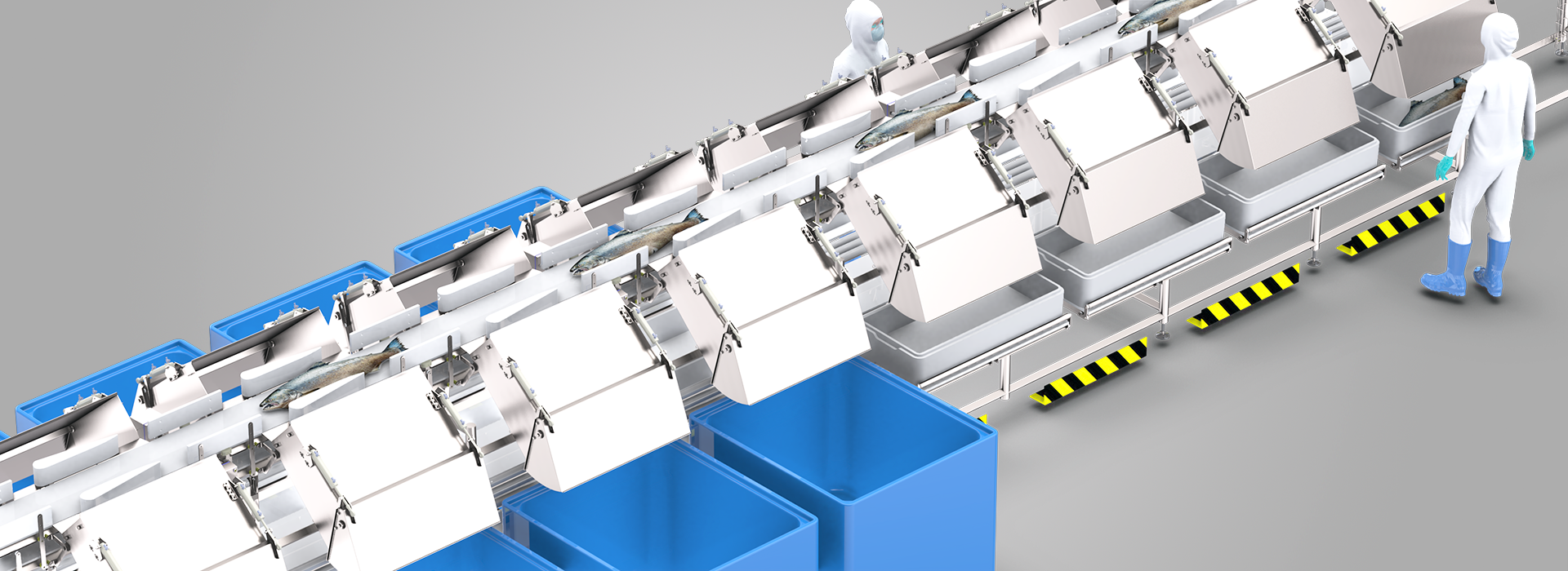 MARELEC's fast and gentle salmon grader provides unparalleled accuracy with unlimited sorting capabilities.