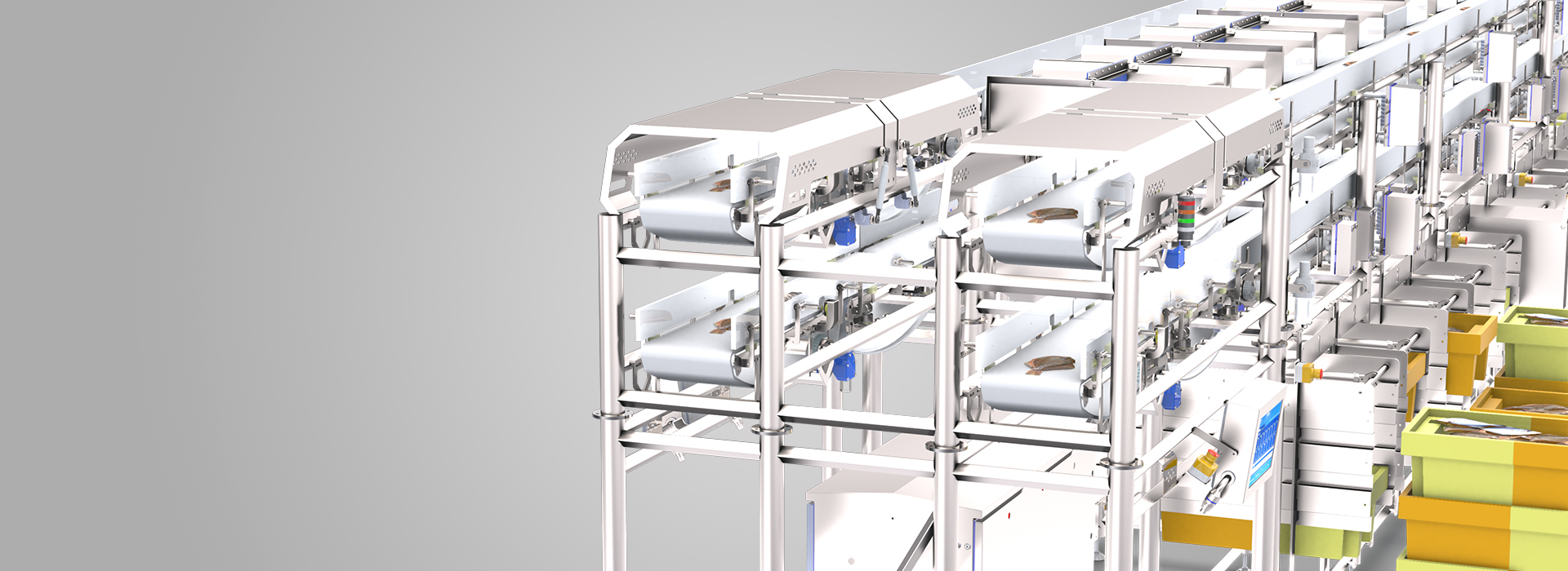 Customized grading solutions for grading fish products